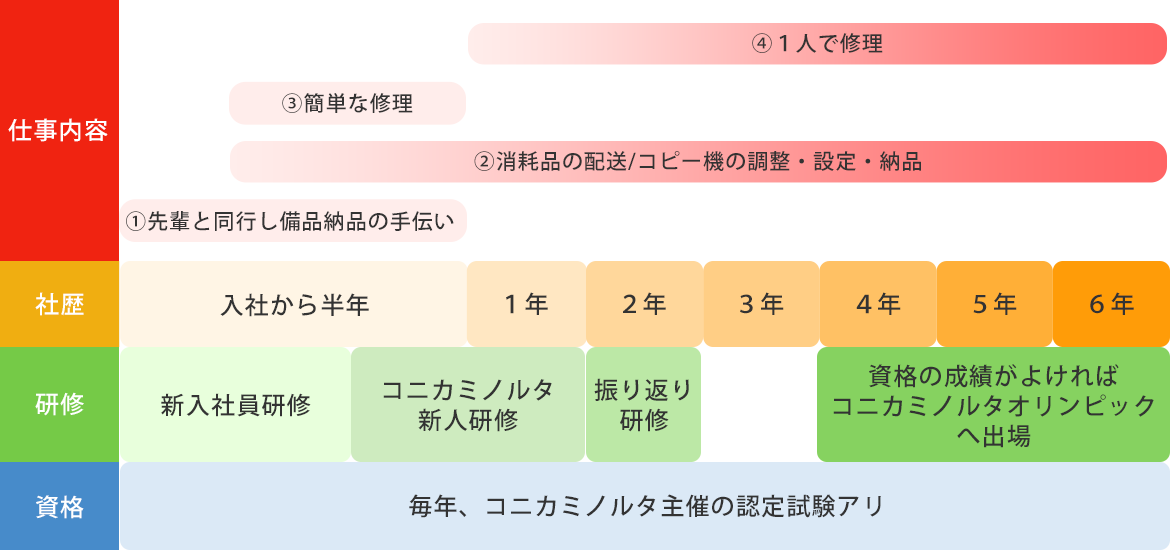 入社後の流れ　CS